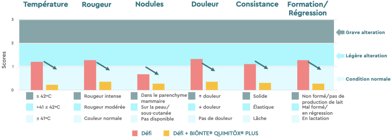 Figure 3. Observations cliniques des glandes mammaires chez les truies primipares.